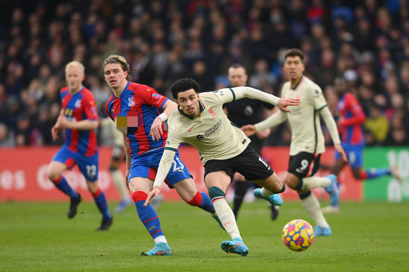 个角度来分 个角度来分